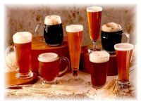 Organic Beer Sales Grow in North America